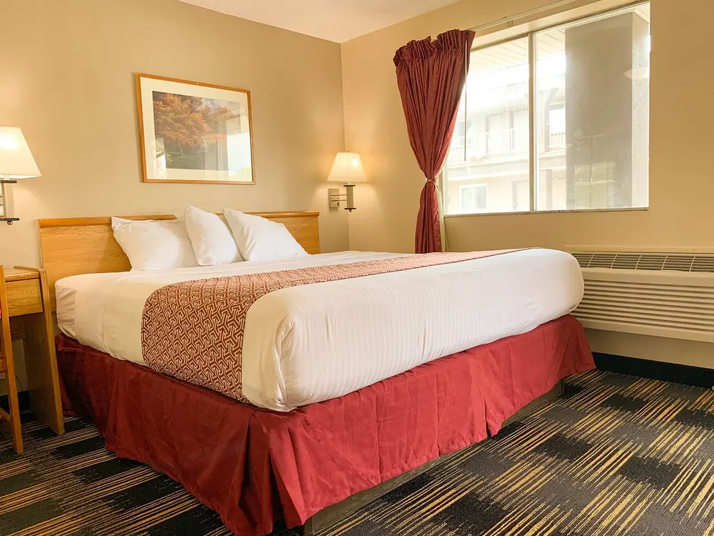 Single King room at Sandusky Inn with a king bed, desk, and window